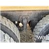 Image 51 : 2020 WESTERN STAR 4900 TRI DRIVE DUMP TRUCK