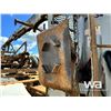 Image 36 : 2003 KENWORTH T800 TRI DRIVE LOG TRUCK