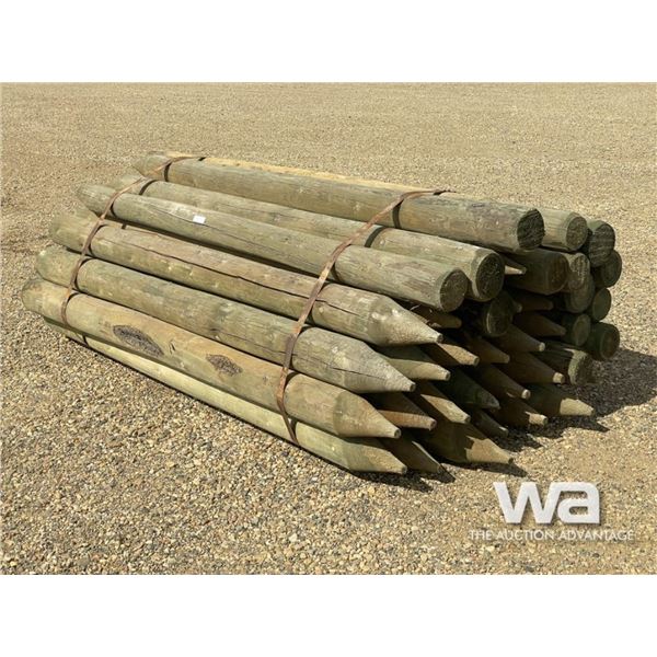 (39) 6 IN. X 8 FT. TREATED FENCE POSTS