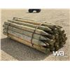 Image 3 : (39) 6 IN. X 8 FT. TREATED FENCE POSTS