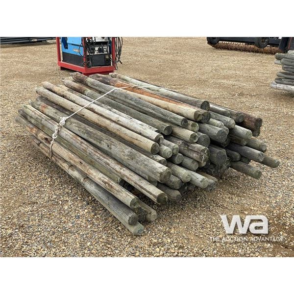 BUNDLE OF FENCE POSTS