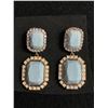 Image 1 : ALDO Earrings