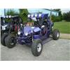Image 1 : JOYNER 800CC SAND VIPER DUNE BUGGY , s/n L5BG1LT6271015331: