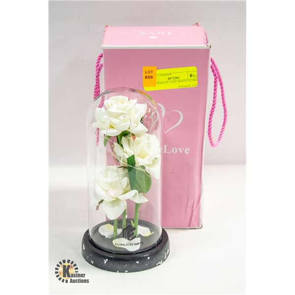 NEW ROSE OF LOVE WHITE FLOWER