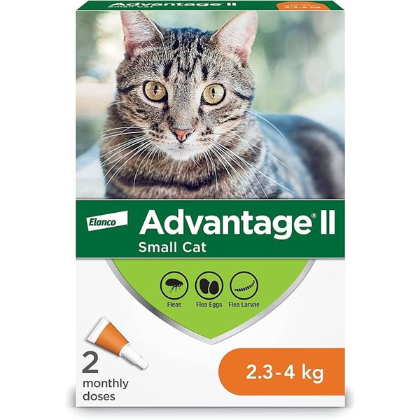 NEW ELANCO ADVANTAGE II FOR CATS