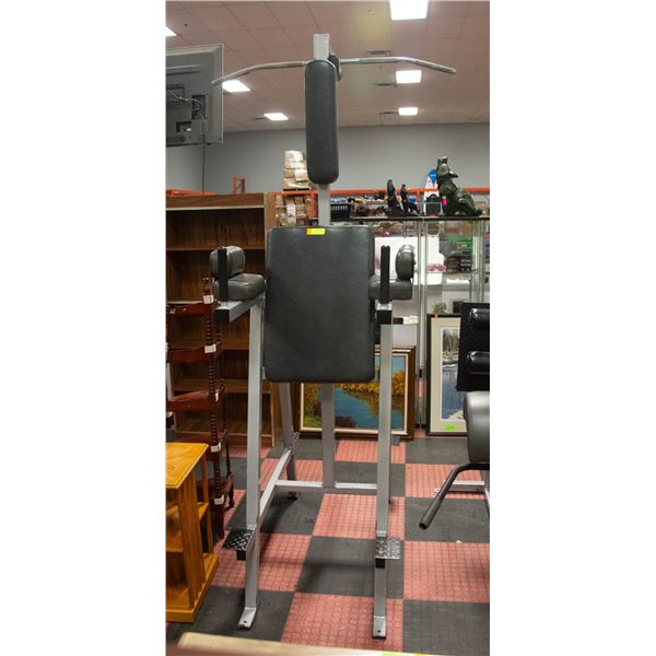 CHIN UP/LEG RAISE/DIP MACHINE