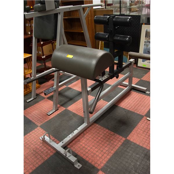 BACK EXTENSION MACHINE