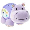 Image 1 : NEW WITH BOX VTECH HIPPO DODO