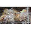Image 1 : 3 PACKS OF PREVIOUSLY FROZEN BUNS