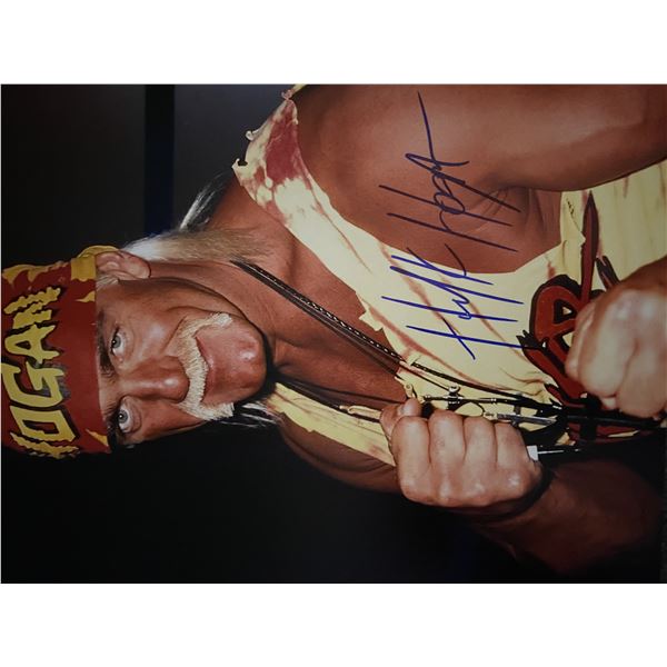 Hulk Hogan signed photo