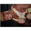 Image 1 : Hulk Hogan signed photo