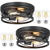 Image 1 : Farmhouse 2-Light Black Flush Mount Ceiling Light Fixtures, Industrial Vintage Metal Cage Closed to 