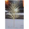 Image 1 : Twinkle Tree with LED Lights in Box