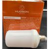 Image 1 : Hudsons Bulb CO 3w Flame Effect LED 120 Volts