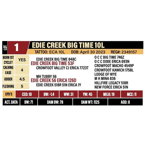 EDIE CREEK BIG TIME 10L