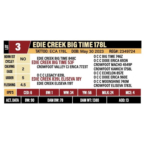EDIE CREEK BIG TIME 178L