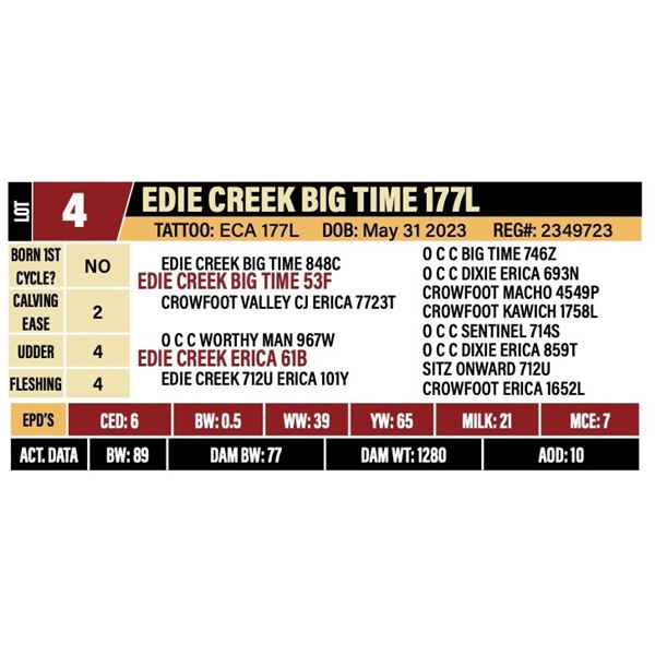 EDIE CREEK BIG TIME 177L