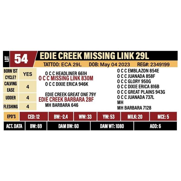 EDIE CREEK MISSING LINK 29L