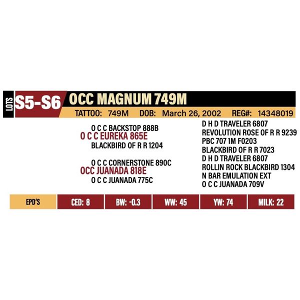 S5 - 2 Straws of OCC Magnum 749M