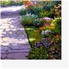 Image 2 : La Jolla by Park, S. Sam