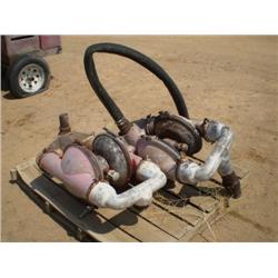 (2) WILDEN PNEUMATIC PUMPS