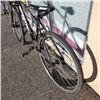 Image 4 : BLACK SCHWINN BIKE
