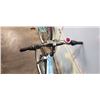 Image 3 : BLUE RALEIGH BIKE
