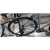 Image 2 : GREY TRIBAN BIKE