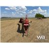 Image 2 : BUHLER/FARM KING 13-70 SWING AUGER