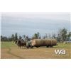 Image 20 : PIONEER HORSE DRAWN 4 BALE TRANSPORT