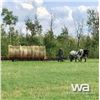 Image 22 : PIONEER HORSE DRAWN 4 BALE TRANSPORT