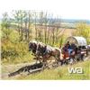 Image 14 : HORSE DRAWN SIX SEAT WAGON WITH CANVAS COVER