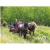 Image 15 : HORSE DRAWN SIX SEAT WAGON WITH CANVAS COVER