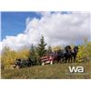 Image 17 : HORSE DRAWN SIX SEAT WAGON WITH CANVAS COVER