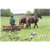 Image 14 : HORSE DRAWN SINGLE DISC