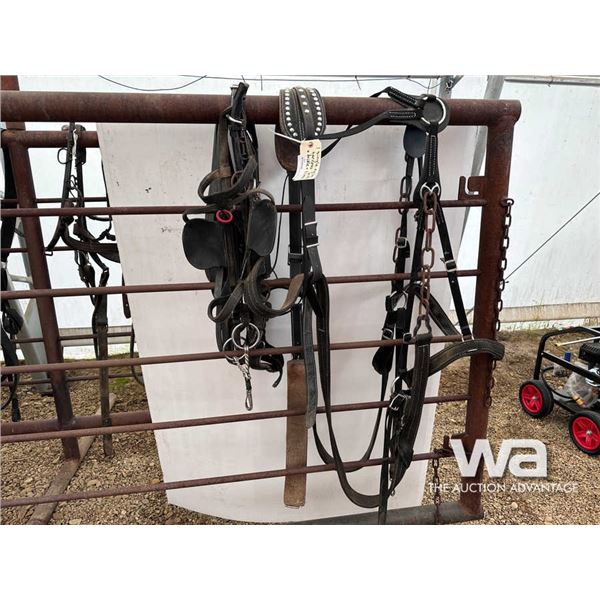 SINGLE NYLON HARNESS WITH BRIDLE & LINES