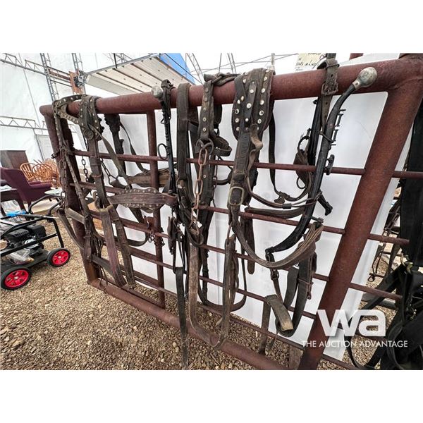 LEATHER DOUBLE HARNESS