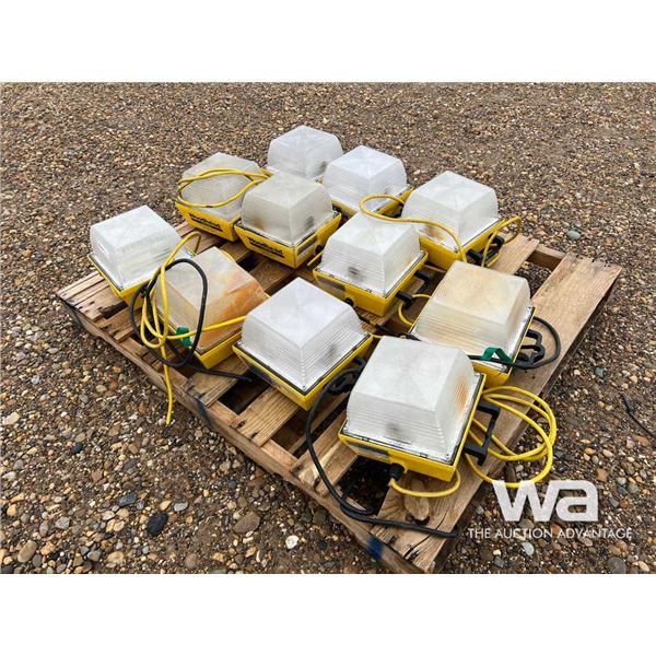 (11) SHOP LIGHTS
