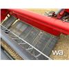 Image 21 : CASE 6000 20 FT. SWATHER