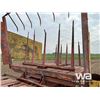 Image 13 : NEW HOLLAND 1044 STACKLINER