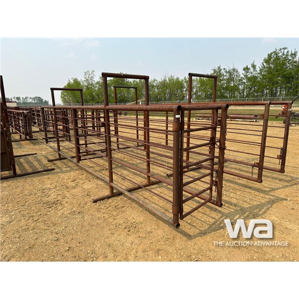 24 FT. CUSTOM LIVESTOCK SORTING ALLEYWAY
