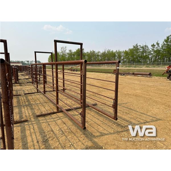 24 FT. CUSTOM LIVESTOCK SORTING ALLEYWAY