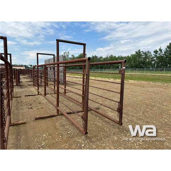 24 FT. CUSTOM LIVESTOCK SORTING ALLEYWAY