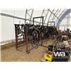 Image 6 : 24 FT. CUSTOM LIVESTOCK SORTING ALLEYWAY