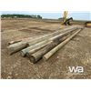 Image 3 : POWER POLES: (8) 35 FT.