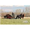 Image 20 : EZ SPREADER 75 HORSE DRAWN MANURE SPREADER