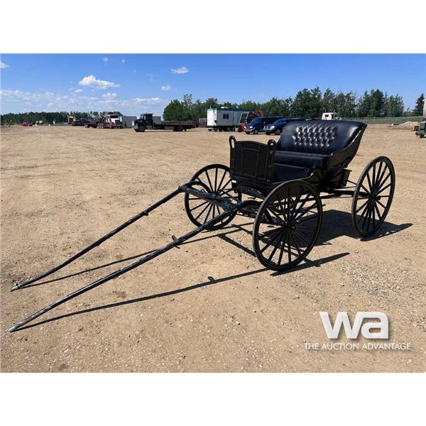 DEMOCRAT HORSE BUGGY