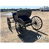 Image 4 : DEMOCRAT HORSE BUGGY