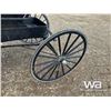 Image 10 : DEMOCRAT HORSE BUGGY