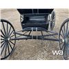 Image 13 : DEMOCRAT HORSE BUGGY